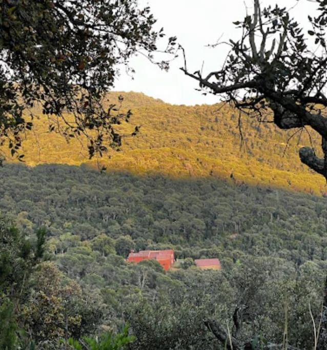 Masia Can Castellar Sant Iscle De Vallalta Ngoại thất bức ảnh